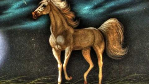 Abbey Norval - AB-Norval2.jpg