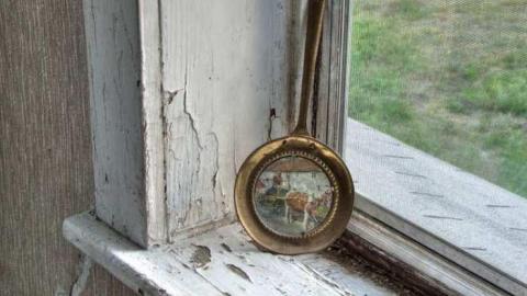 Abbey Norval - AB-Norval27.jpg