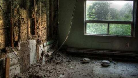 Abbey Norval - AB-Norval3.jpg