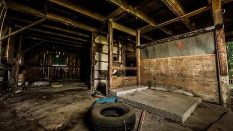 Photo from Nobody here But Us Trees