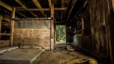 Photo from Nobody here But Us Trees