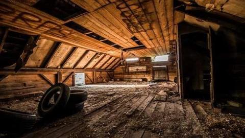 Nobody here But Us Trees - dundas-4865.jpg