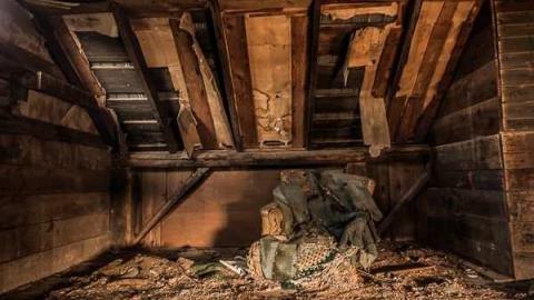 Nobody here But Us Trees - dundas-4867.jpg