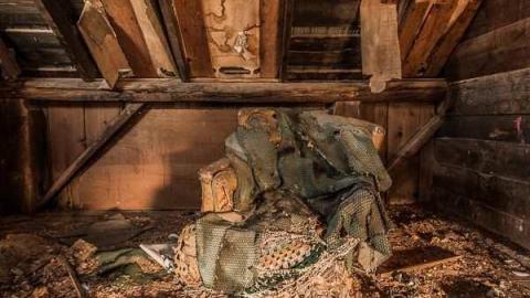 Nobody here But Us Trees - dundas-4868.jpg