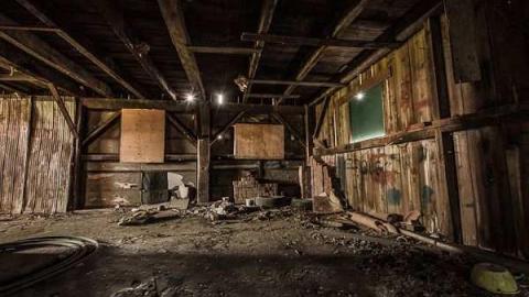 Photo from Nobody here But Us Trees