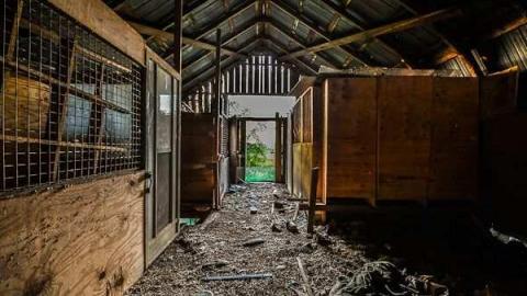 Bee Gone - Carrique-Property3.jpg