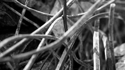 Bob Loblaw - The-Loblaw-Groceterias-Building57.jpg