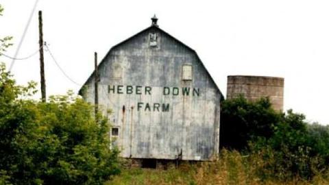 Photo from Heberdown Farm