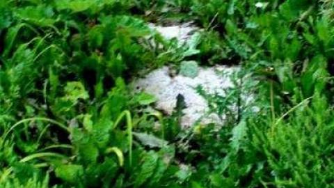 Photo from Heberdown Farm