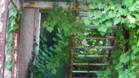 Century Manor 7/16/10 - Century-Manor-Asylum526.jpg