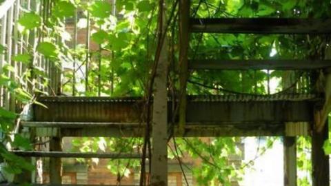 Century Manor 7/16/10 - Century-Manor-Asylum528.jpg