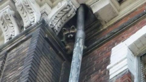 Century Manor 7/16/10 - Century-Manor-Asylum354.jpg