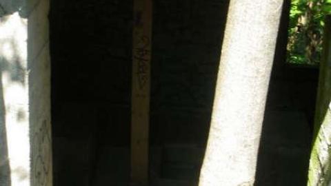 Crooks Hollow 7/16/10 - Darnley-Mill-Crooks-Hollow127.jpg