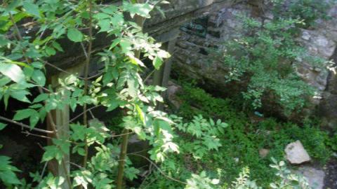 Crooks Hollow 7/16/10 - Darnley-Mill-Crooks-Hollow129.jpg