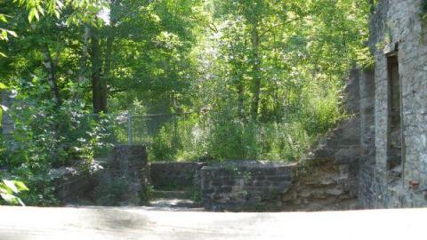 Photo from Crooks Hollow 7/16/10