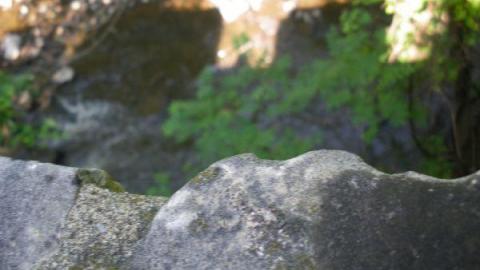 Crooks Hollow 7/16/10 - Darnley-Mill-Crooks-Hollow131.jpg