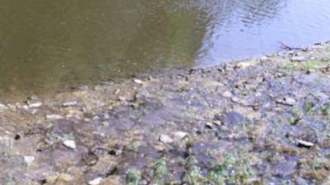 Crooks Hollow 7/16/10 - Darnley-Mill-Crooks-Hollow136.jpg