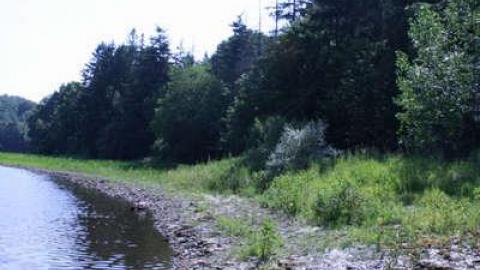 Crooks Hollow 7/16/10 - Darnley-Mill-Crooks-Hollow137.jpg