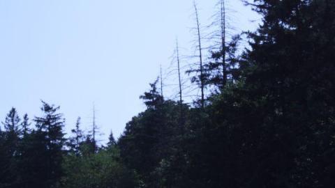 Crooks Hollow 7/16/10 - Darnley-Mill-Crooks-Hollow248.jpg