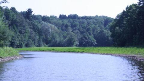 Crooks Hollow 7/16/10 - Darnley-Mill-Crooks-Hollow249.jpg