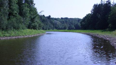 Crooks Hollow 7/16/10 - Darnley-Mill-Crooks-Hollow251.jpg