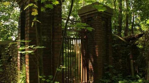 With all the Foliage - Michigan-Central-RR-Stop-Ruins1.jpg