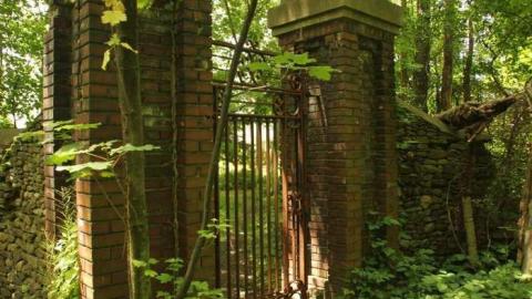 With all the Foliage - Michigan-Central-RR-Stop-Ruins2.jpg