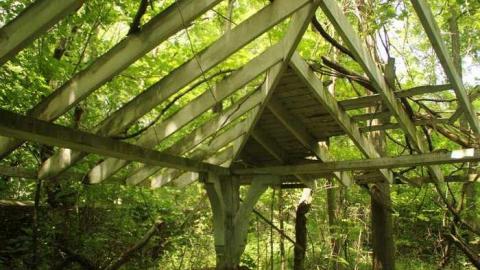 Photo from With all the Foliage