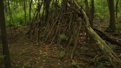 Photo from With all the Foliage