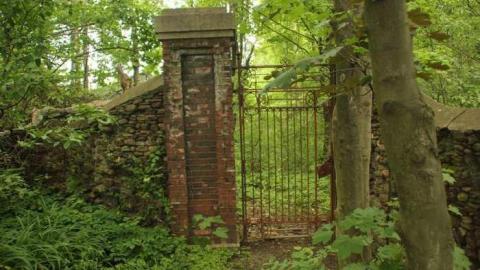 Photo from With all the Foliage