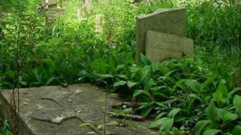 Hamilton family cemetery - Hamilton-Cemetery-Queenston3.jpg