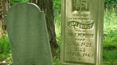 Hamilton family cemetery - Hamilton-Cemetery-Queenston5.jpg