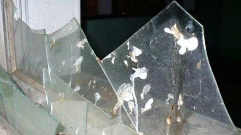 Tudhopeful - Tudhope-Homestead16.jpg