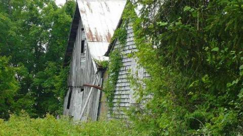 Tudhopeful - Tudhope-Homestead17.jpg