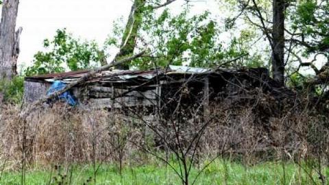 School Section 21 photo 2