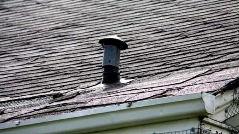 School Section 21 photo 3