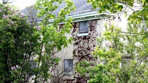 School Section 21 - School-Section-2158.jpg