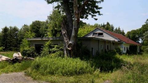 June 21 2013 - IMG_1476.jpg