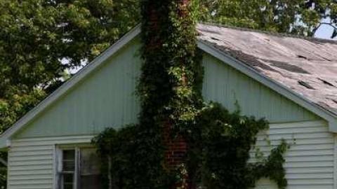 June 21 2013 - IMG_1504.jpg