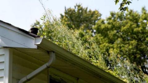 June 21 2013 - IMG_1507.jpg