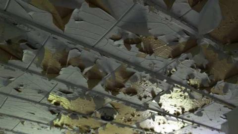 June 21 2013 - IMG_1530.jpg