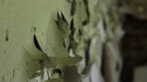 June 21 2013 - IMG_1539.jpg