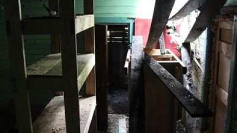 maple leafs - Tall-Red-on-8644.jpg