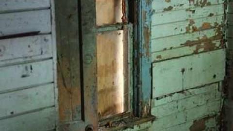 maple leafs - Tall-Red-on-8637.jpg