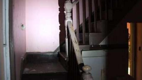 maple leafs - Tall-Red-on-8646.jpg