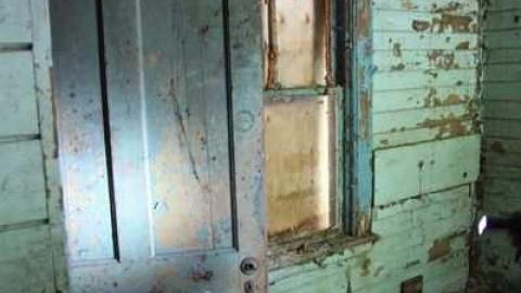 maple leafs - Tall-Red-on-8639.jpg