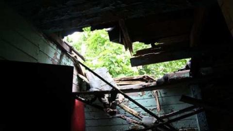 maple leafs - Tall-Red-on-8647.jpg