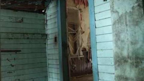 maple leafs - Tall-Red-on-8640.jpg