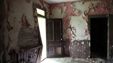 maple leafs - Tall-Red-on-8641.jpg