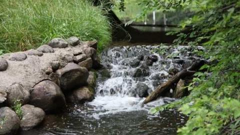 Photo from Better Beef